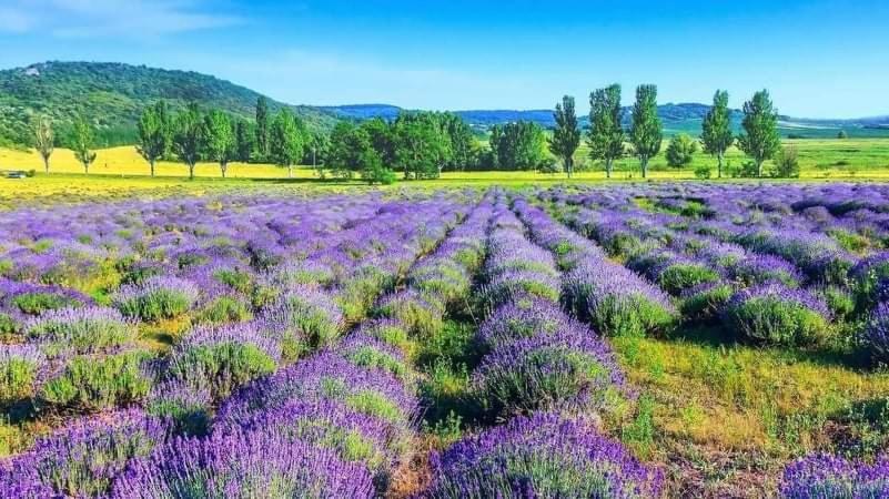 Legkondicionalt, Erkelyes Szoba, Privat Fuerdovel A Balatonon Koroshegy ภายนอก รูปภาพ